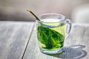 תה ירוק דיאטת 17 הימים